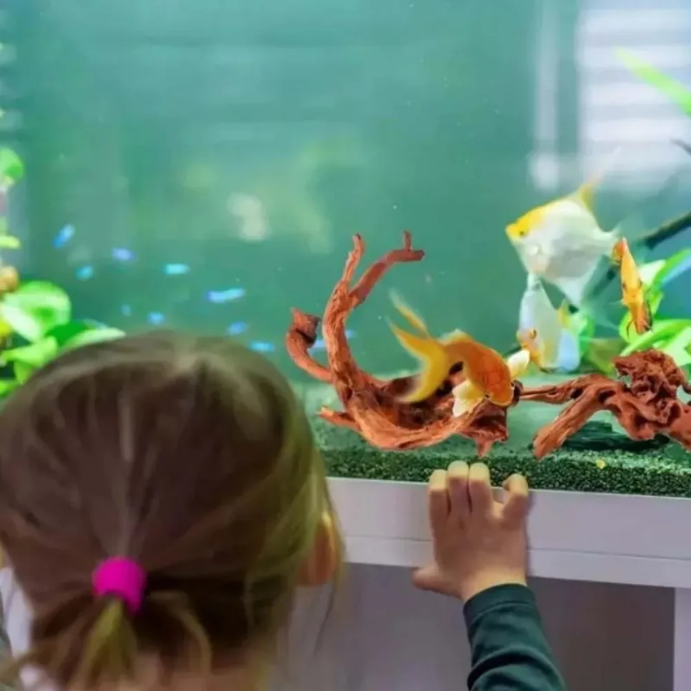 Planted Aquarium With Driftwood - New Natural Small Tree Trunk Driftwood