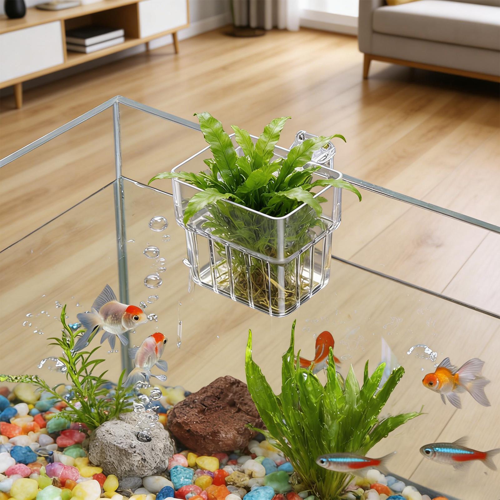 Planted Aquarium Kit - Transparent Hangable Aquarium Plant Holder Pot