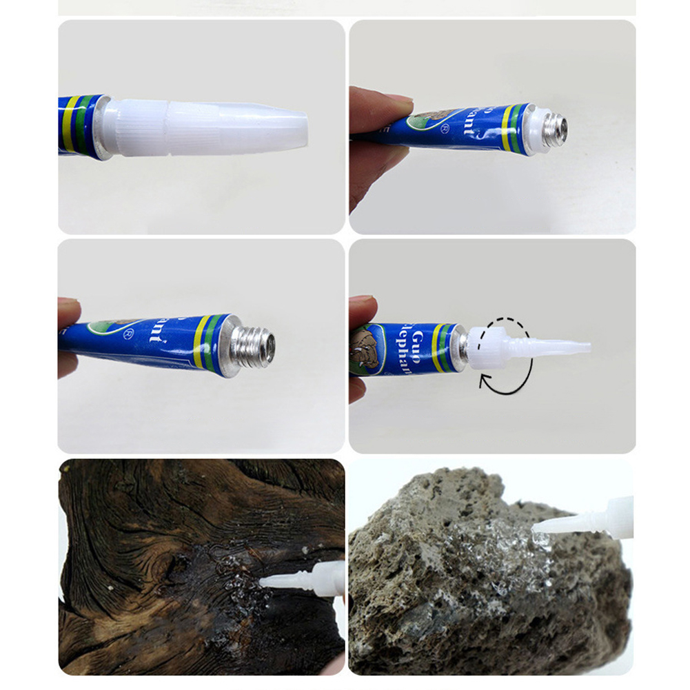 Aquatic Plants Driftwood Under - Planted Aquarium With Driftwood ulasan dan harga