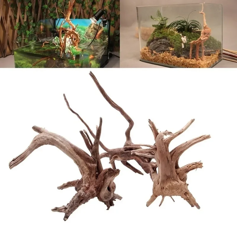 Natural Tree Trunk Driftwood A - Planted Aquarium With Driftwood ulasan dan harga