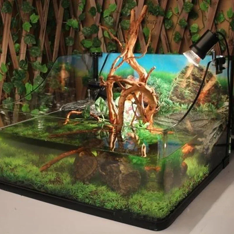 Natural Tree Trunk Driftwood A - Planted Aquarium With Driftwood ulasan dan harga