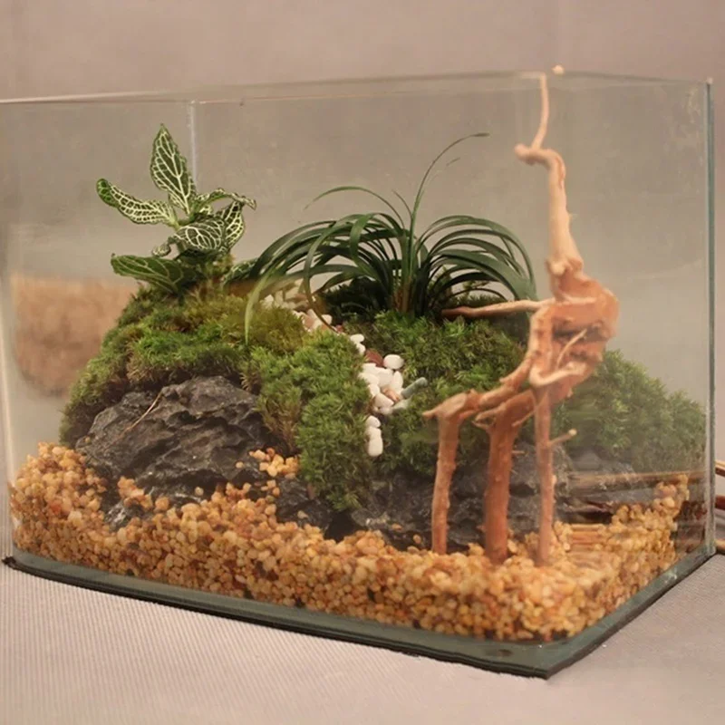 Natural Tree Trunk Driftwood A - Planted Aquarium With Driftwood ulasan dan harga
