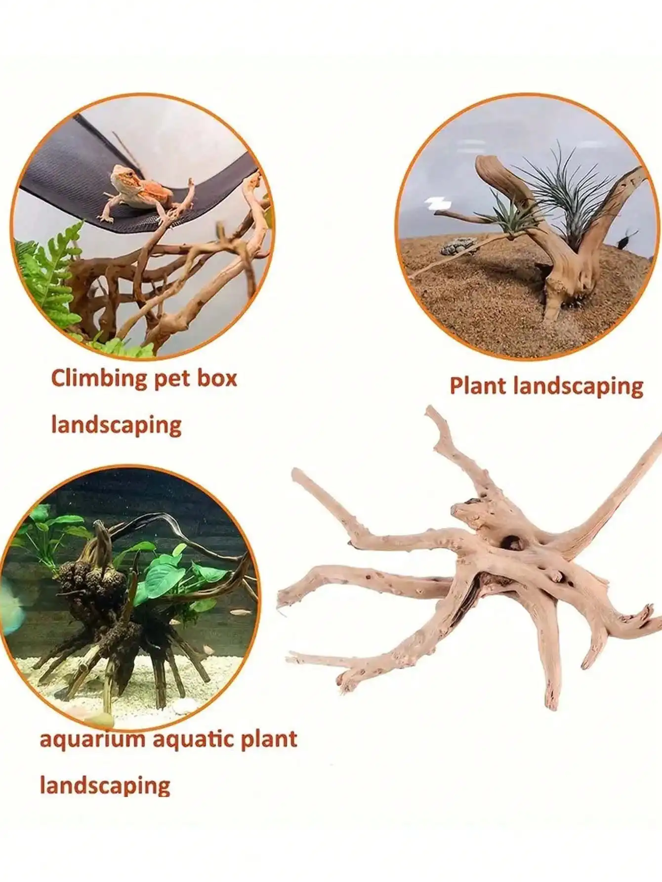 New Natural Small Tree Trunk D - Planted Aquarium With Driftwood ulasan dan harga