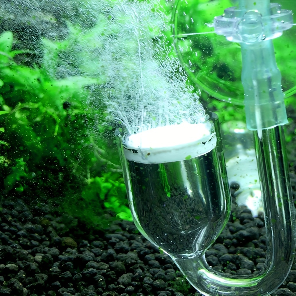 Aquarium Glass CO2 Atomizer Di - Aquarium Plants Book ulasan dan harga