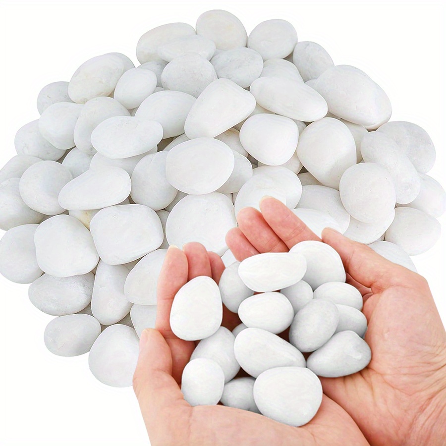200/400g White High Polished N - Aquarium Plants Book ulasan dan harga