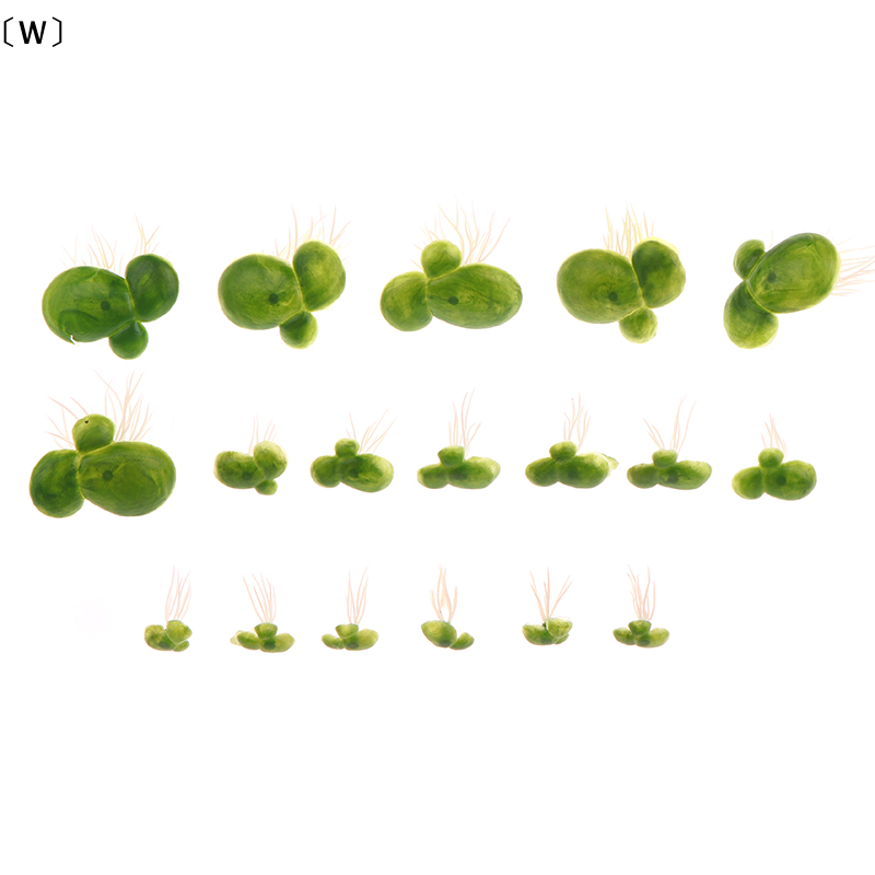 〔W〕18pcs/set Aquarium Fish Tan - Planted Aquarium Kit ulasan dan harga