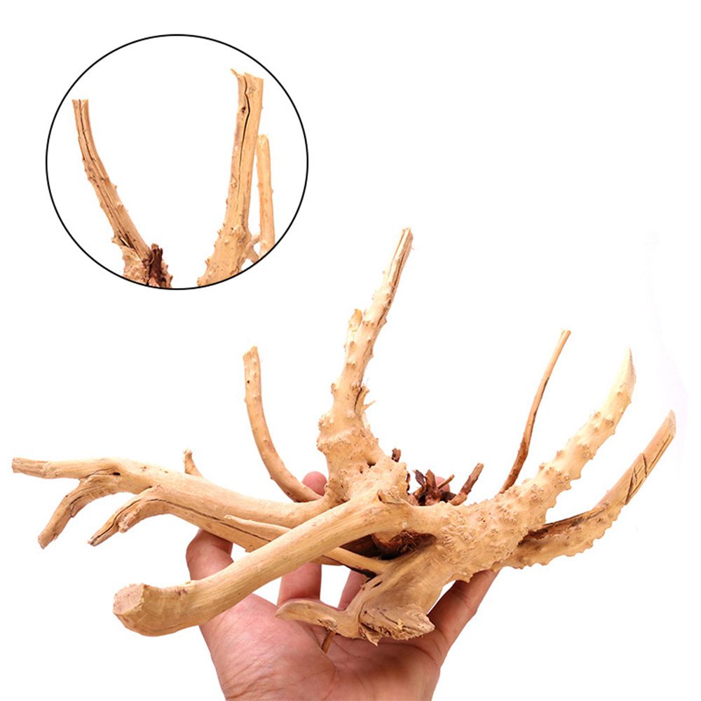 1 Pcs Wood Reptile Fish Tank O - Planted Aquarium With Driftwood ulasan dan harga