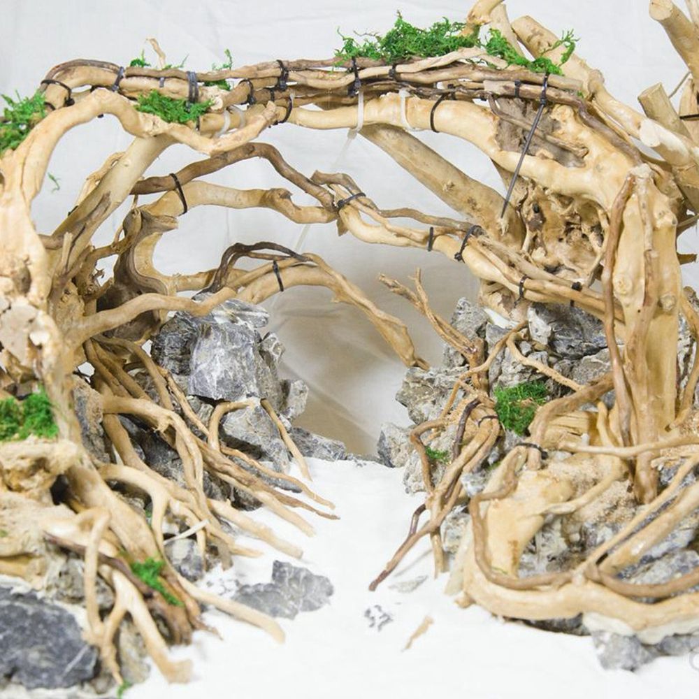 1 Pcs Wood Reptile Fish Tank O - Planted Aquarium With Driftwood ulasan dan harga