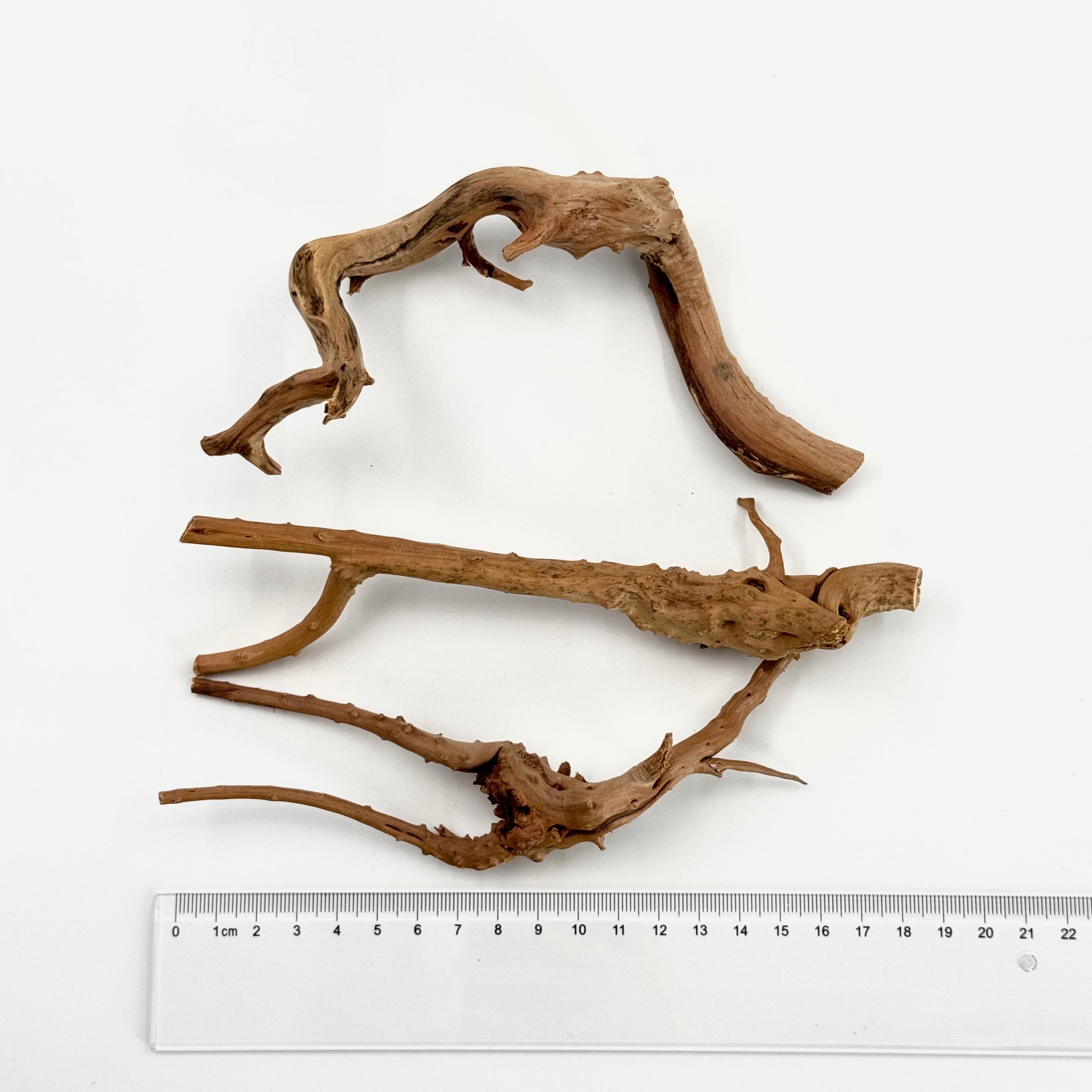 2 Pcs Natural Small Spiderwood - Planted Aquarium With Driftwood ulasan dan harga