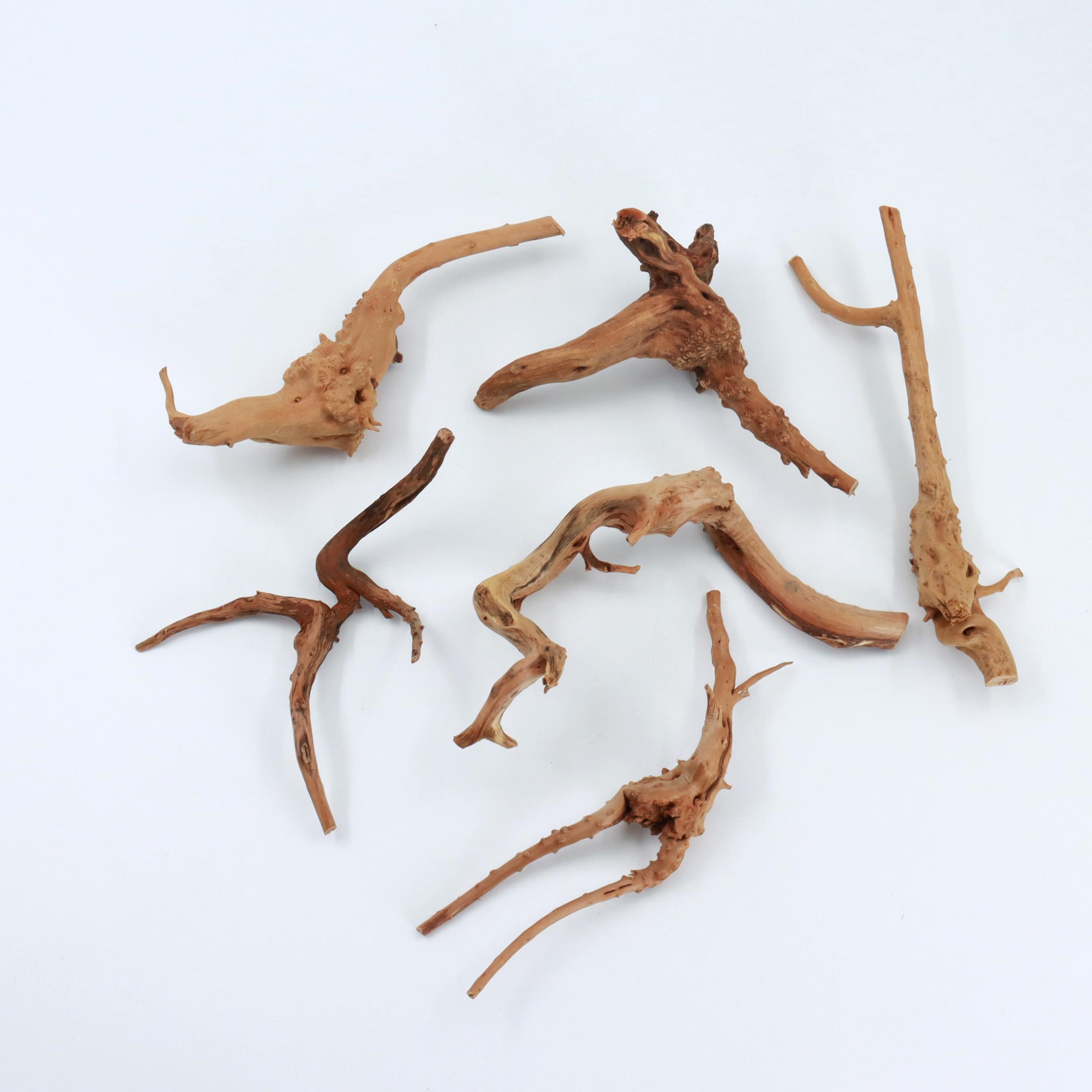 2 Pcs Natural Small Spiderwood - Planted Aquarium With Driftwood ulasan dan harga
