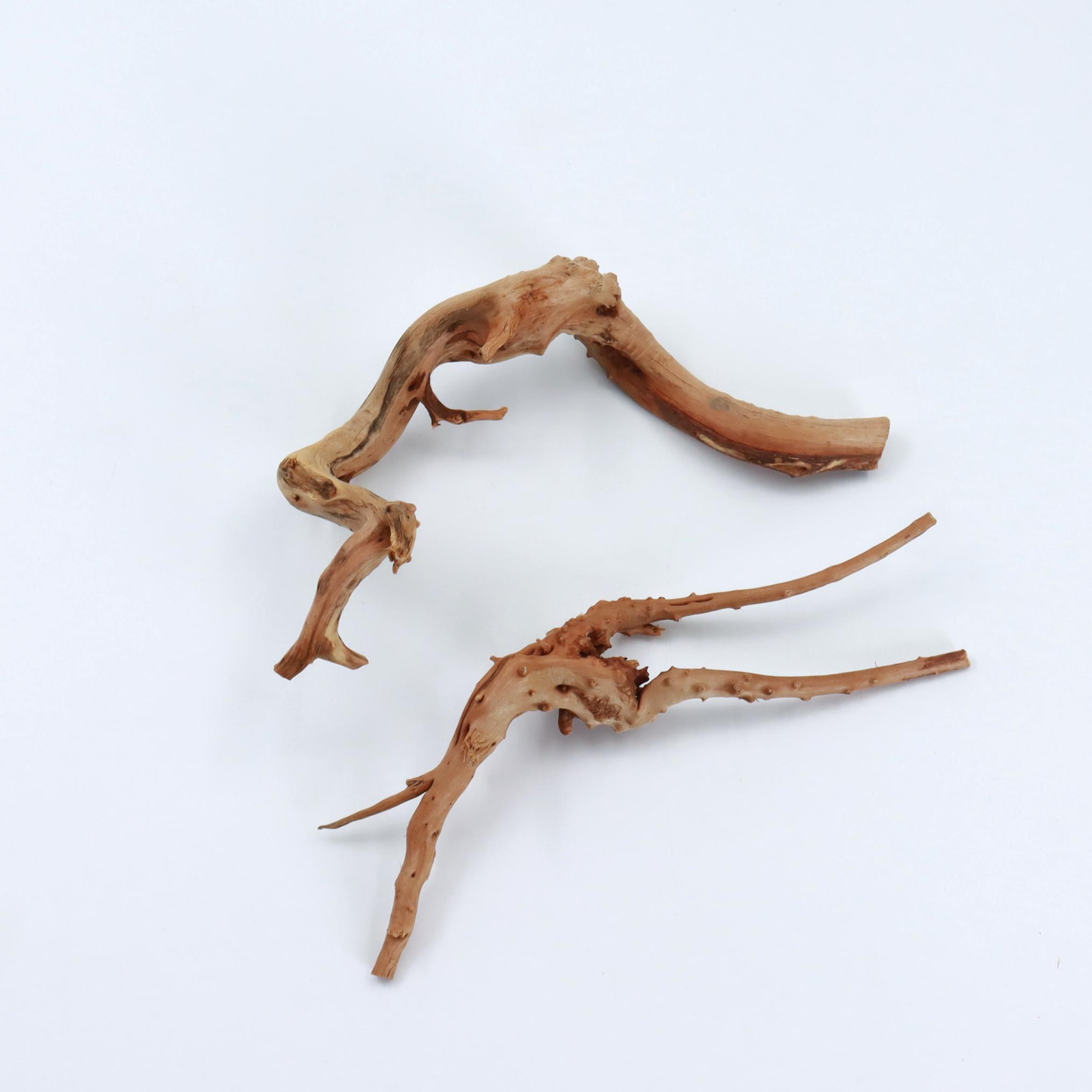 2 Pcs Natural Small Spiderwood - Planted Aquarium With Driftwood ulasan dan harga