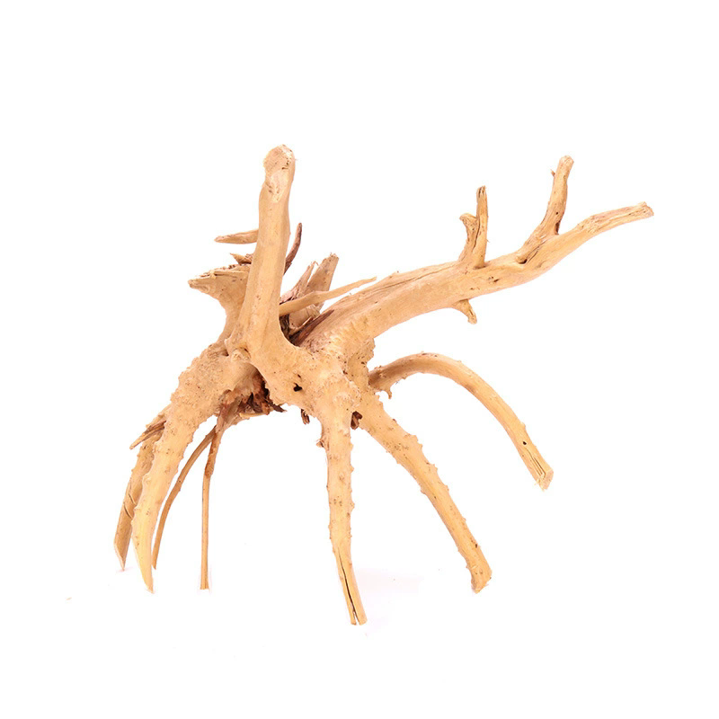 4PCS Natural Wooden Fish Tank  - Planted Aquarium With Driftwood ulasan dan harga