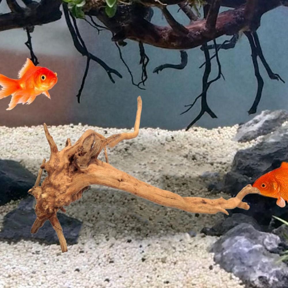 20-25CM Large Aquarium Driftwo - Planted Aquarium With Driftwood ulasan dan harga