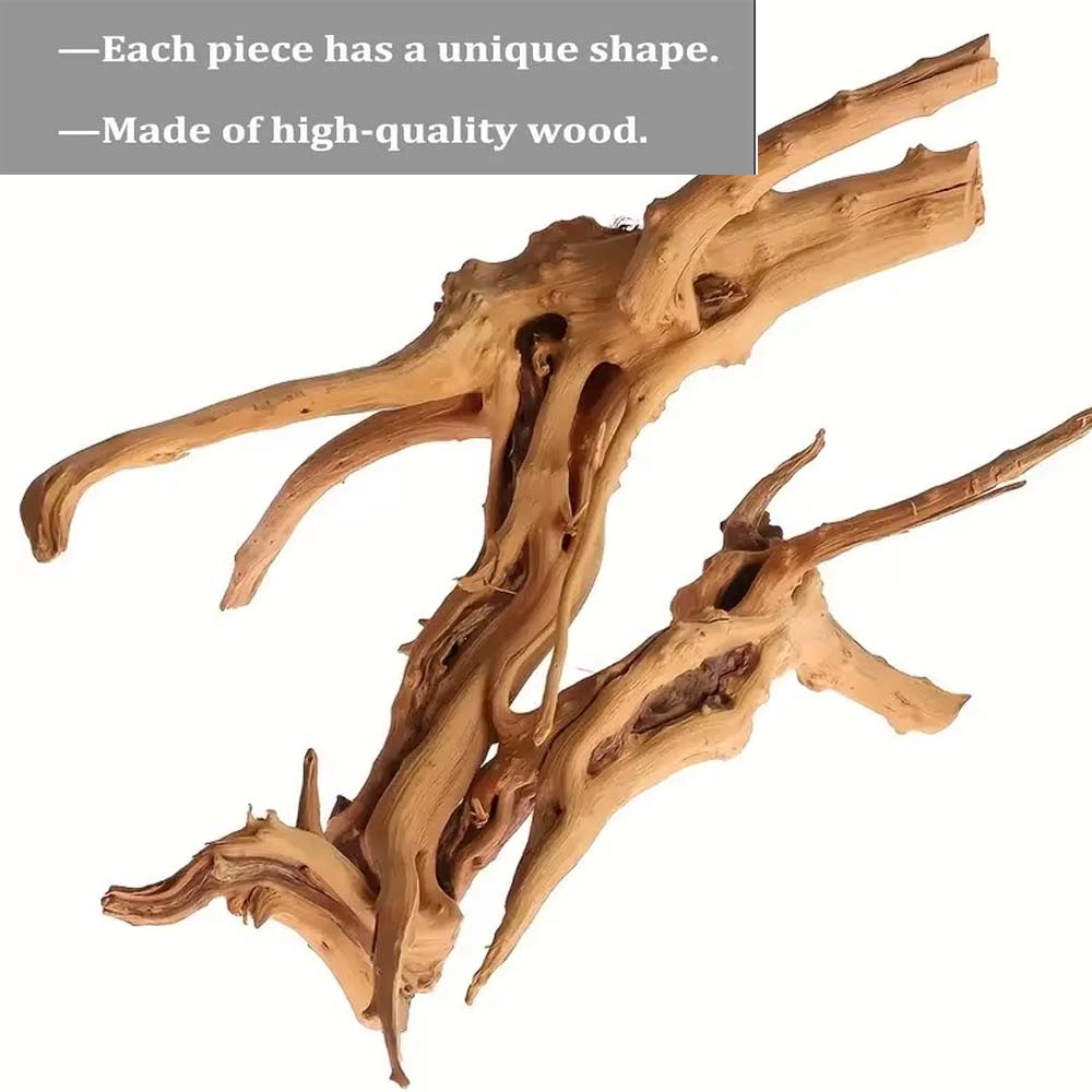 20-25CM Large Aquarium Driftwo - Planted Aquarium With Driftwood ulasan dan harga