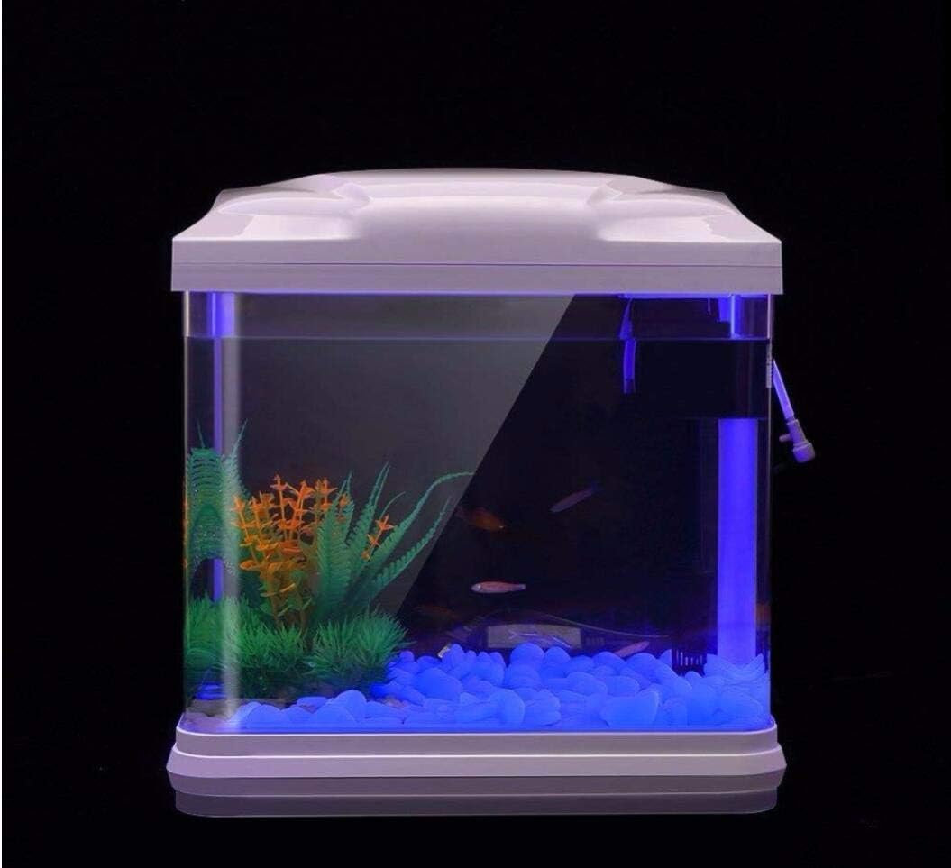 Fish Tank Rocks Glow Blue Pebb - Aquarium Plants Book ulasan dan harga