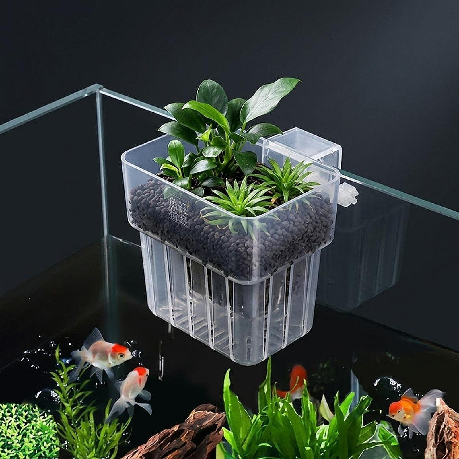 Aquarium Plant Holder Adjustab - Planted Aquarium Materials ulasan dan harga