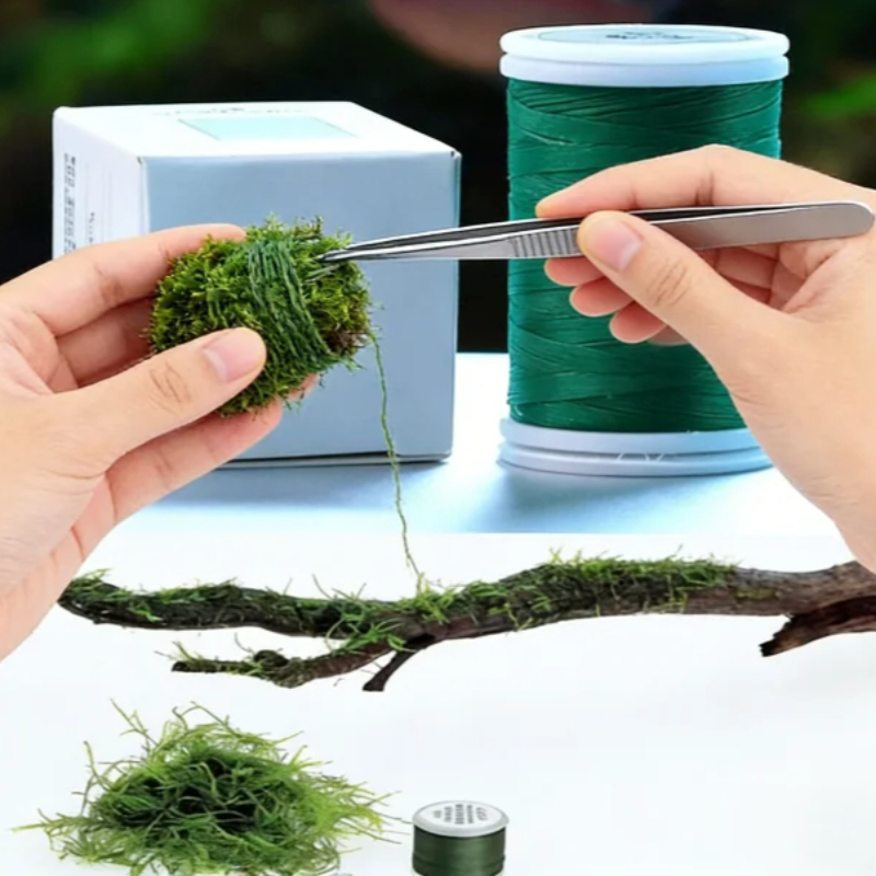 Biodegradable Aquarium Moss Th - Planted Aquarium With Driftwood ulasan dan harga