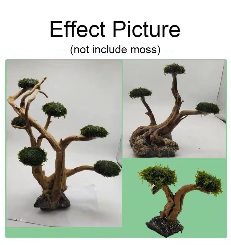 Fish Tank Plant Moss Tree Deco - Planted Aquarium With Driftwood ulasan dan harga