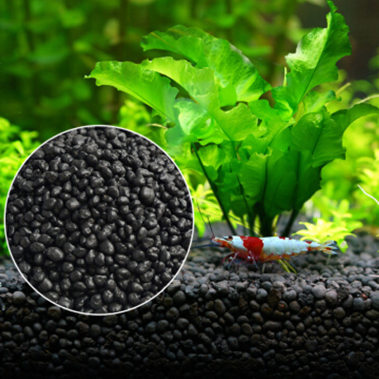 Aquarium Plant Seeds Soil Fish - Aquarium Plants Book ulasan dan harga
