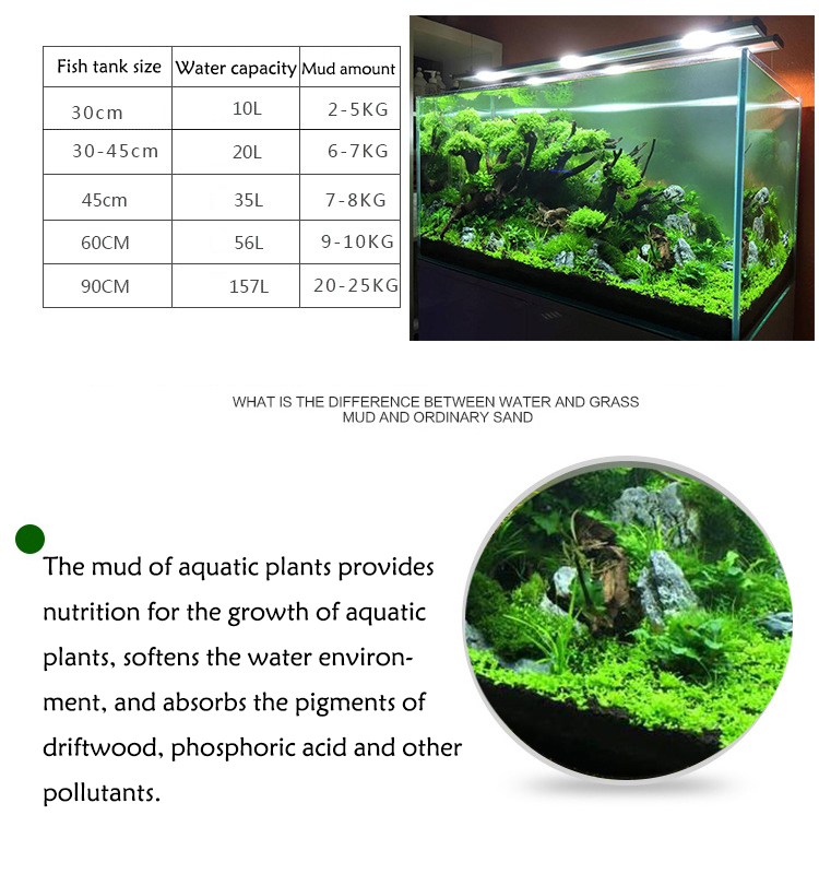 Aquarium Plant Seeds Soil Fish - Aquarium Plants Book ulasan dan harga