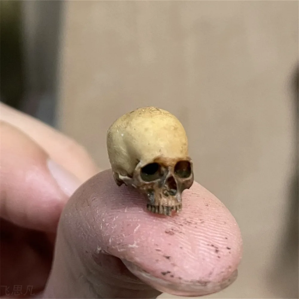 Mini Skull High Quality Miniat - Aquarium Plants Book ulasan dan harga