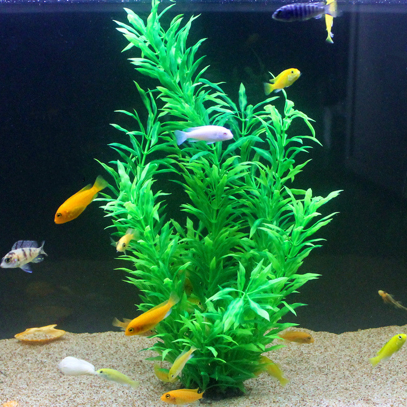 50CM Artificial Fish Tank Rare - Aquarium Plants Book ulasan dan harga