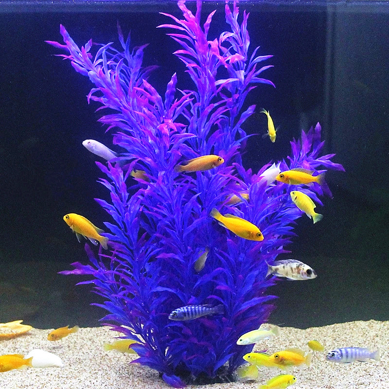 50CM Artificial Fish Tank Rare - Aquarium Plants Book ulasan dan harga