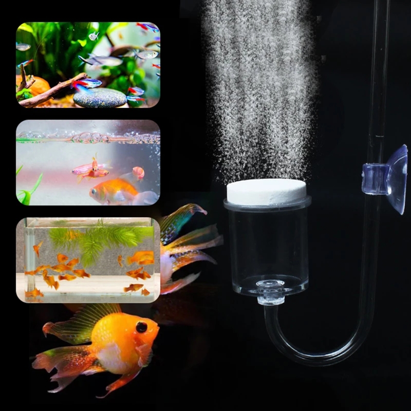 4pcs Set DIY CO2 Diffuser For  - Planted Aquarium Kit ulasan dan harga